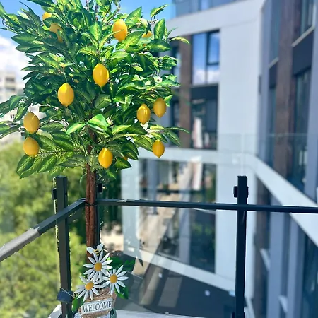 Stracciatella Homes Apartment